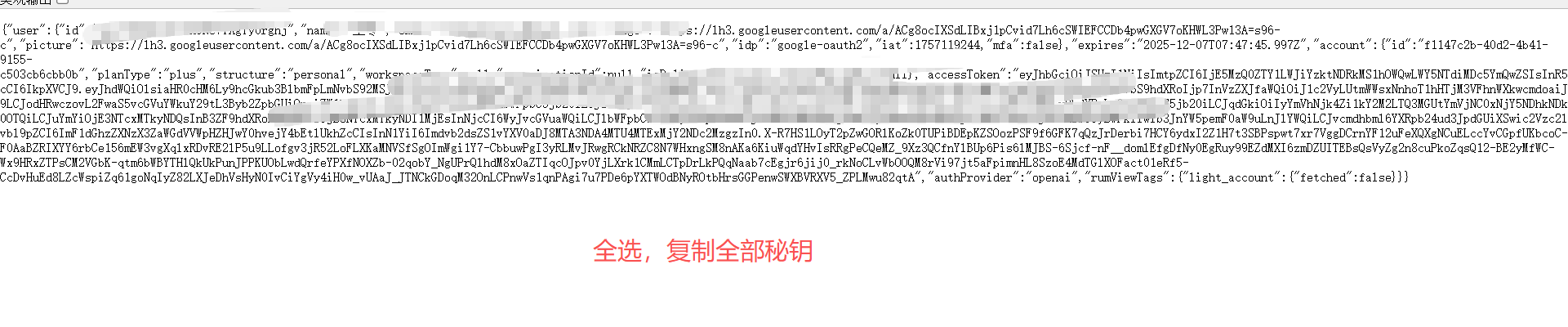 全部密钥复制